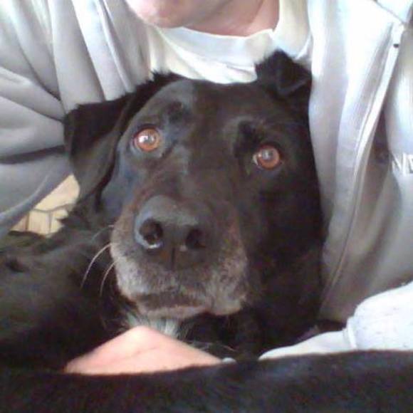 Meet your Posher, Scott - Picture 1 of 1